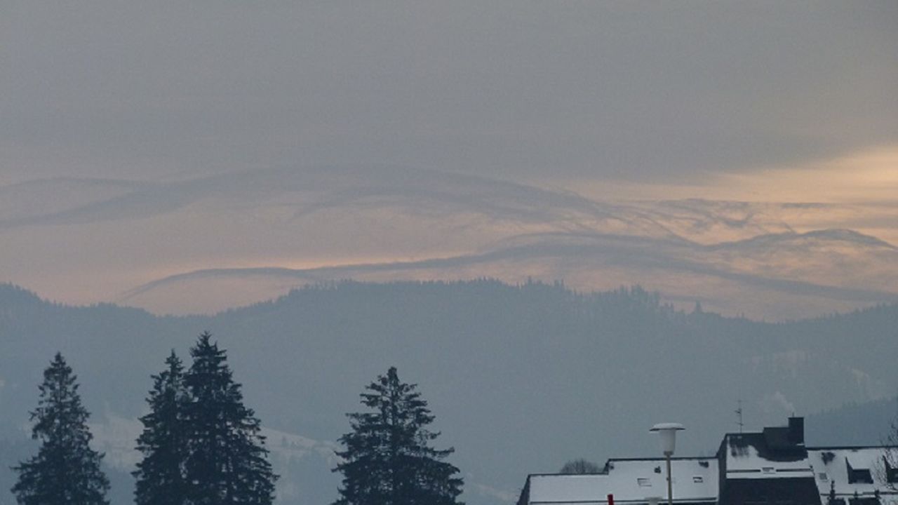 Ausblick Richtung See / Winter Ausblick Richtung See / Winter